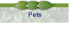Pets