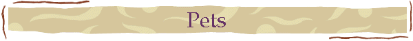 Pets